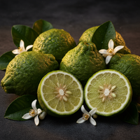 Bergamot